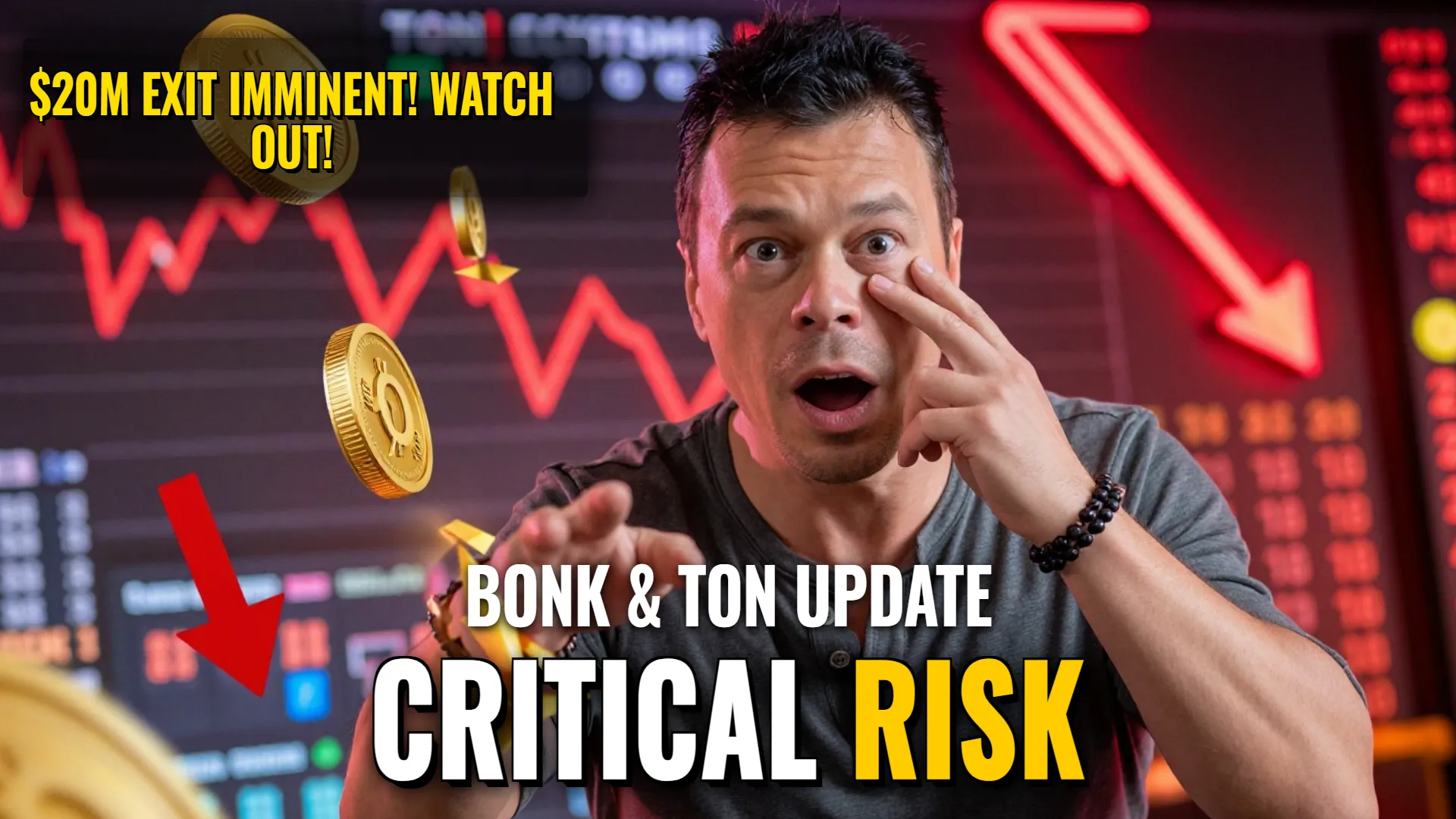Market Analysis: BONK & TON Ecosystems Volatility Risk